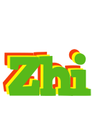 Zhi crocodile logo