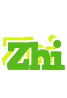 Zhi picnic logo