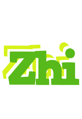 Zhi picnic logo