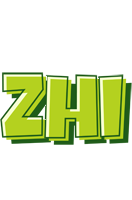 Zhi summer logo