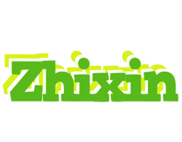 Zhixin picnic logo