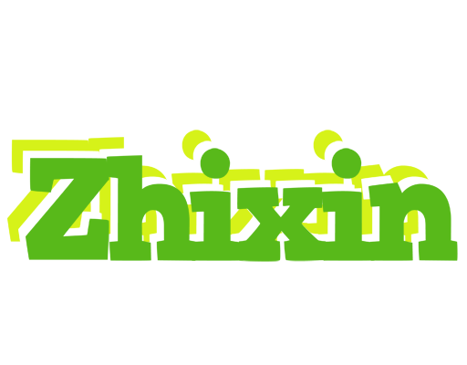 Zhixin picnic logo