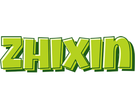 Zhixin summer logo