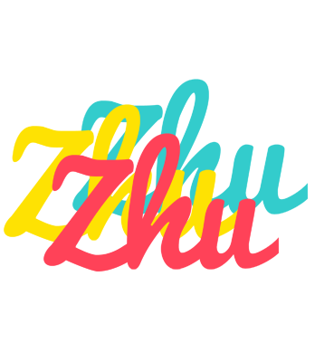 Zhu disco logo