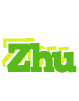 Zhu picnic logo