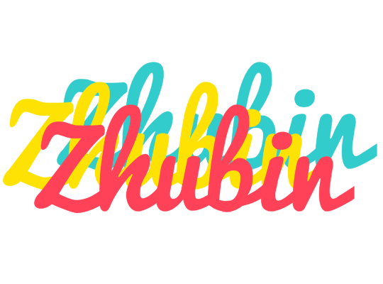 Zhubin disco logo