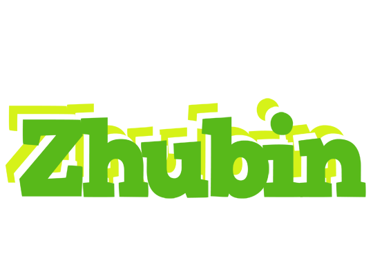 Zhubin picnic logo