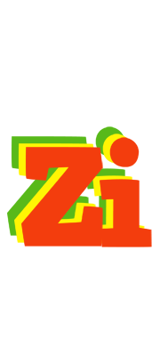 Zi bbq logo
