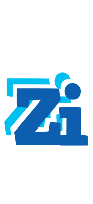 Zi business logo