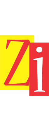 Zi errors logo