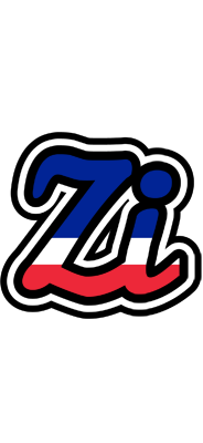 Zi france logo