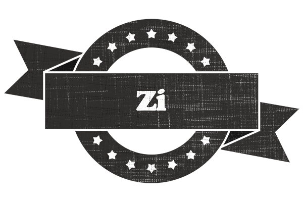 Zi grunge logo