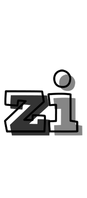 Zi night logo