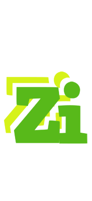 Zi picnic logo