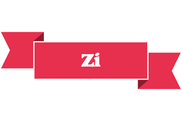 Zi sale logo