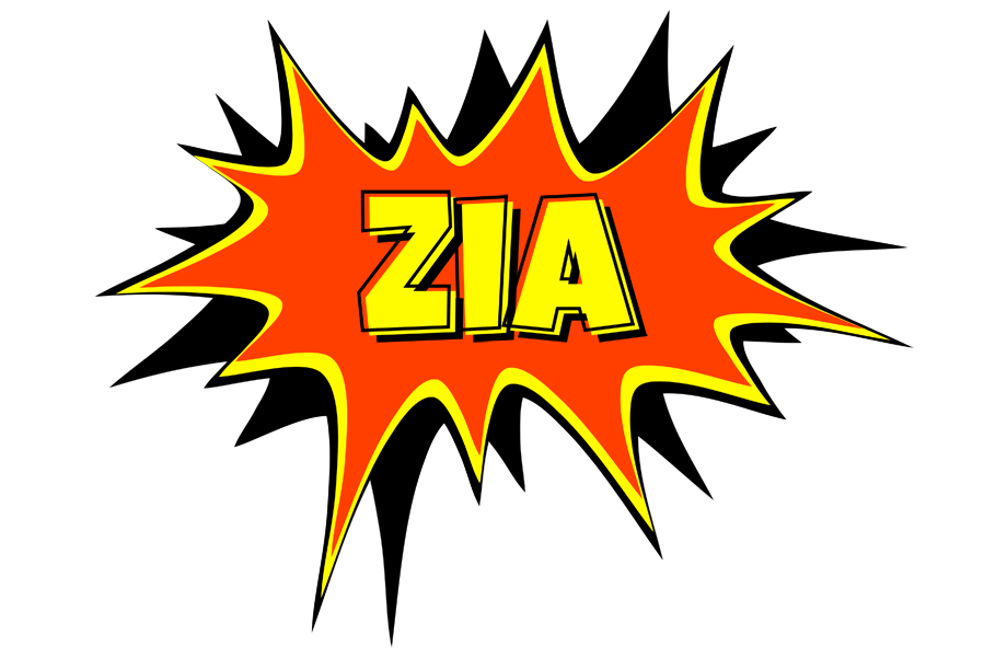 Zia bazinga logo
