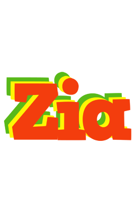 Zia bbq logo