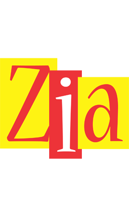 Zia errors logo