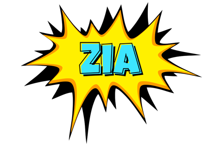 Zia indycar logo