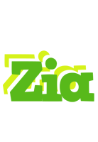 Zia picnic logo