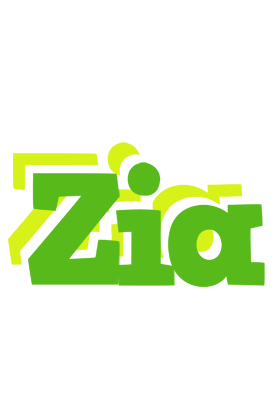 Zia picnic logo