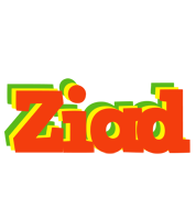 Ziad bbq logo