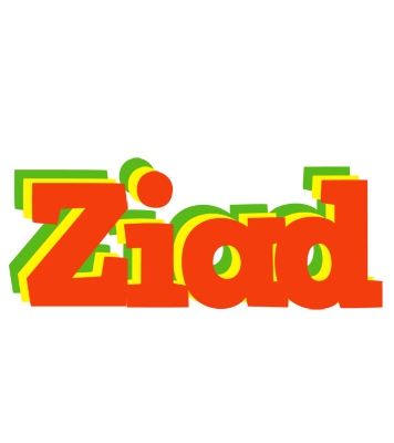 Ziad bbq logo