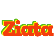 Ziata bbq logo