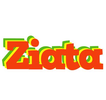 Ziata bbq logo