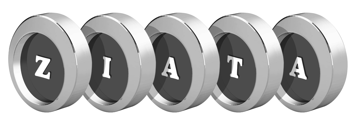 Ziata coins logo