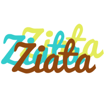Ziata cupcake logo