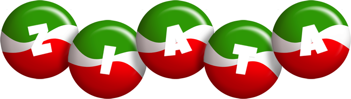 Ziata italy logo
