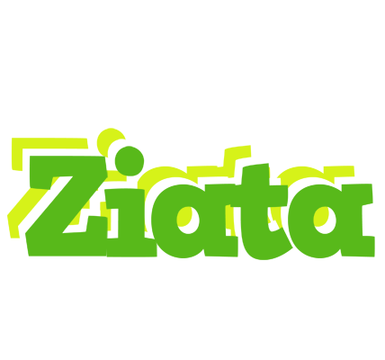 Ziata picnic logo
