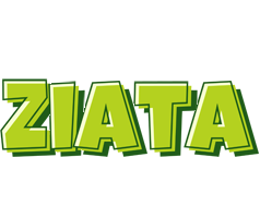 Ziata summer logo