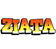 Ziata sunset logo
