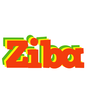 Ziba bbq logo