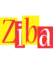 Ziba errors logo
