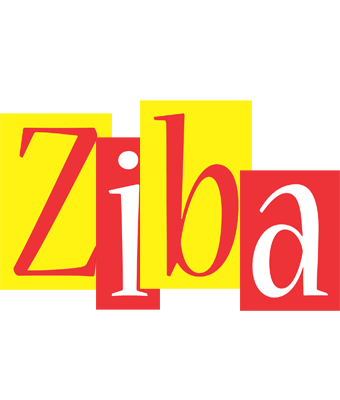 Ziba errors logo