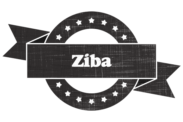 Ziba grunge logo
