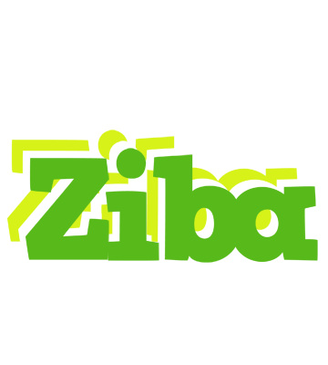 Ziba picnic logo