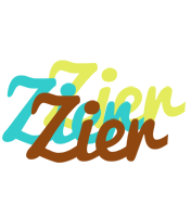 Zier cupcake logo