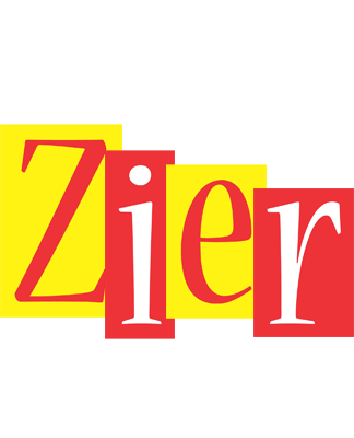 Zier errors logo