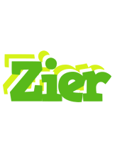 Zier picnic logo