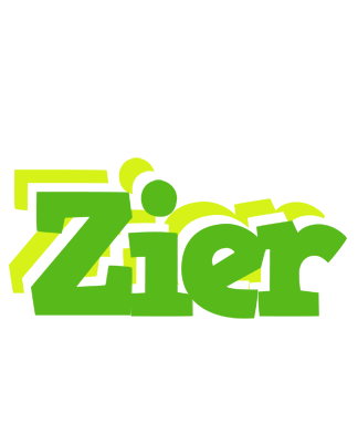 Zier picnic logo