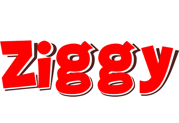 Ziggy basket logo