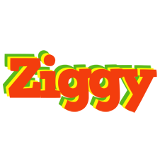 Ziggy bbq logo