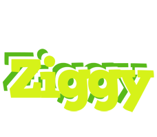 Ziggy citrus logo