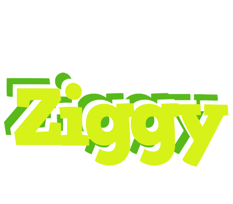 Ziggy citrus logo