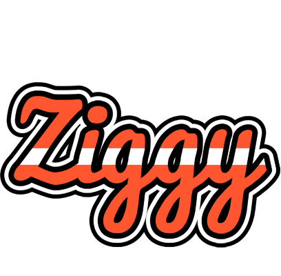 Ziggy denmark logo