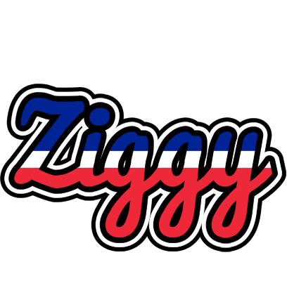 Ziggy france logo